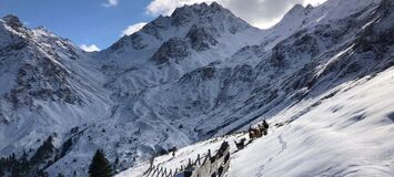 Chalet à louer à Surses