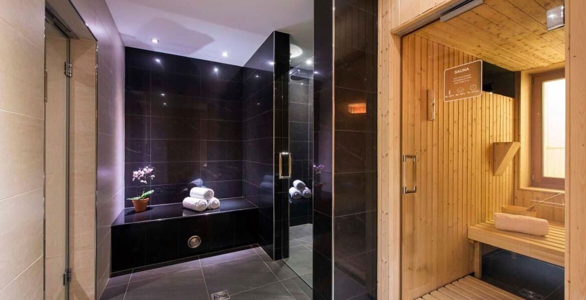 Penthouse à louer à Zermatt