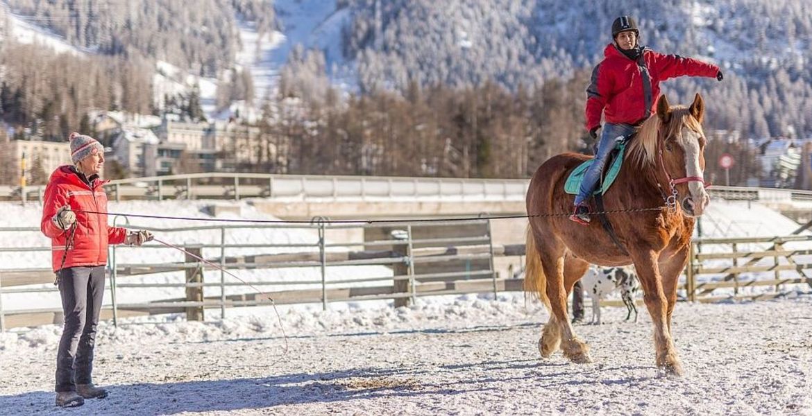 Équitation Pontresin