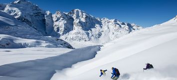 Freeriding